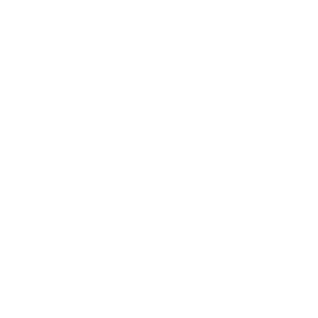 Логотип МДПС Медведь